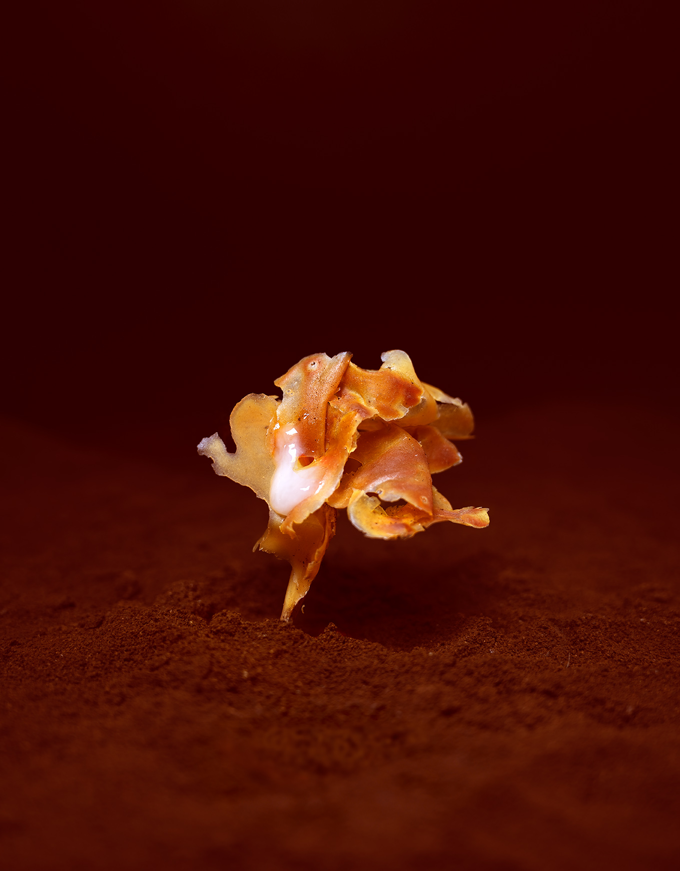 THE WRONG LAND I. A sculpture made of a man’s semen